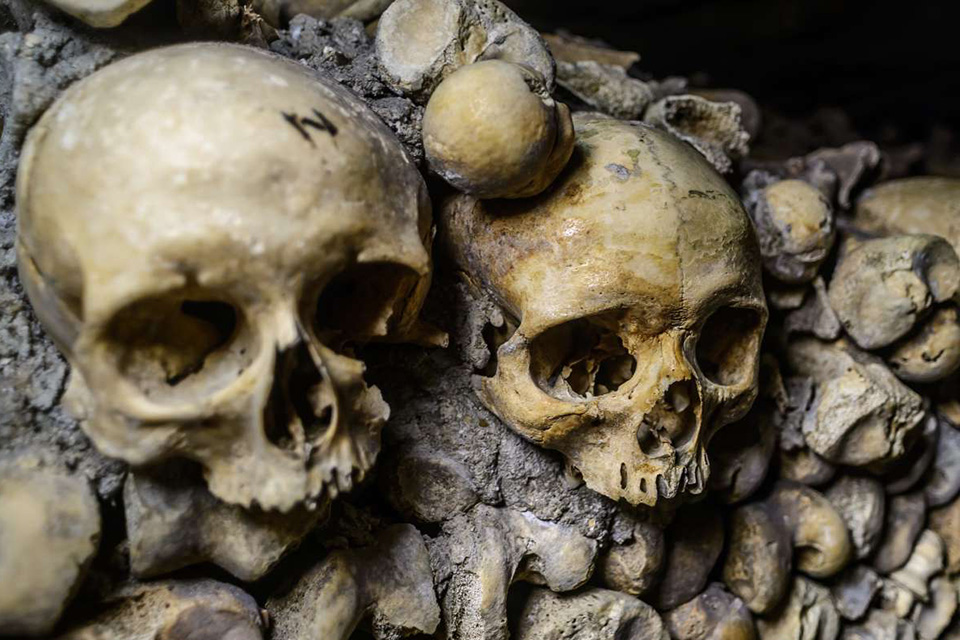 paris catacombs tickets and tours